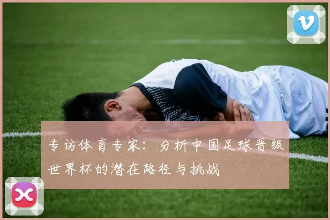 专访体育专家：分析中国足球晋级世界杯的潜在路径与挑战