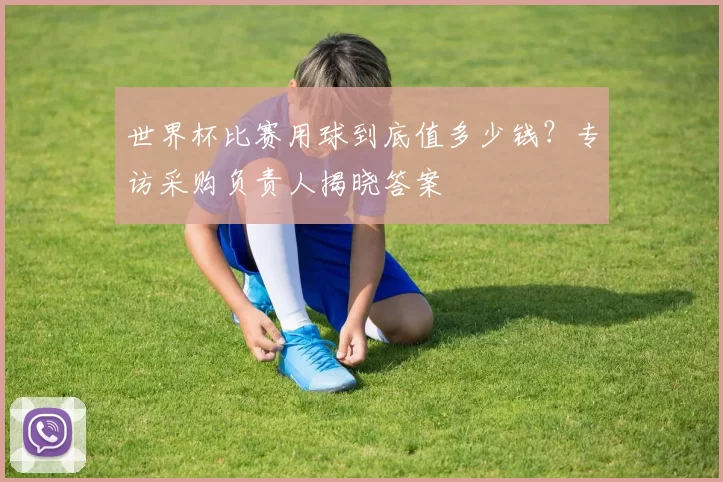 世界杯比赛用球到底值多少钱？专访采购负责人揭晓答案