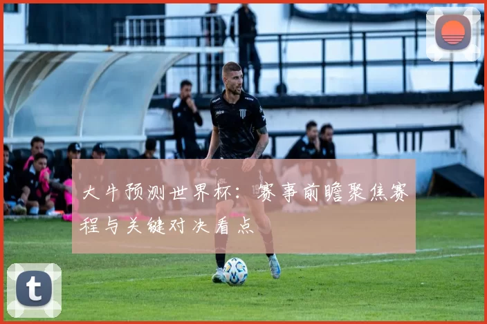 大牛预测世界杯:赛事前瞻聚焦赛程与关键对决看点