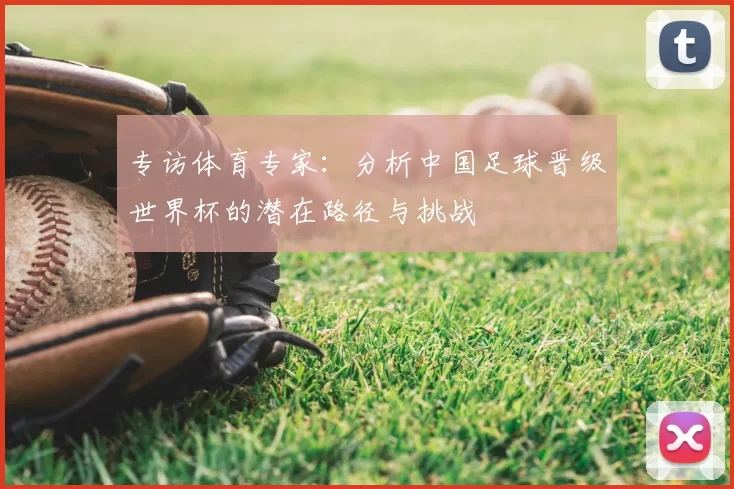 专访体育专家:分析中国足球晋级世界杯的潜在路径与挑战