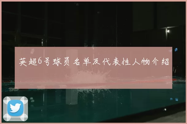 英超6号球员名单及代表性人物介绍