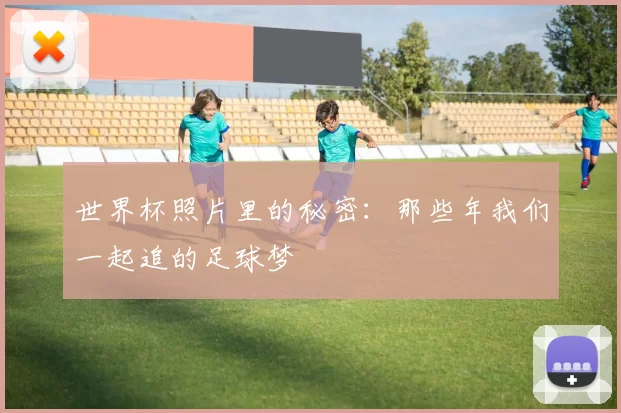 世界杯照片里的秘密:那些年我们一起追的足球梦