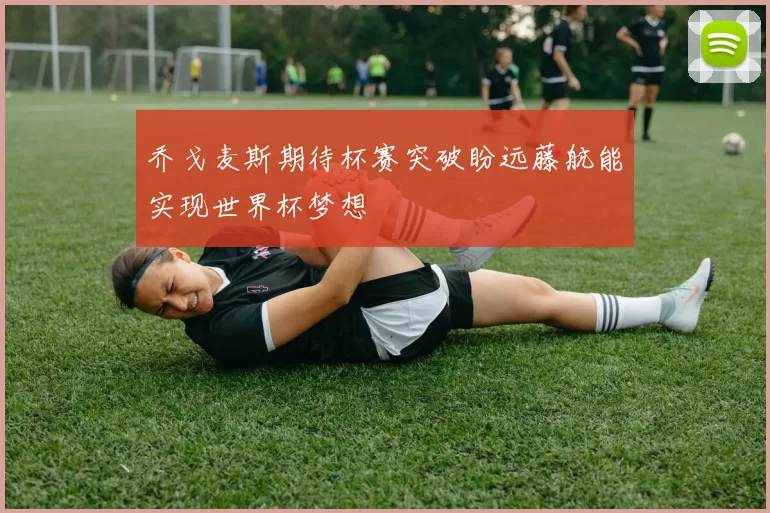 乔戈麦斯期待杯赛突破盼远藤航能实现世界杯梦想