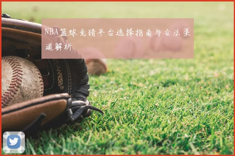 NBA篮球竞猜平台选择指南与合法渠道解析