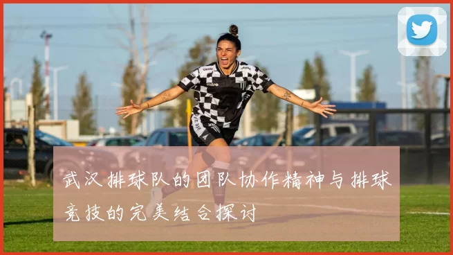 武汉排球队的团队协作精神与排球竞技的完美结合探讨