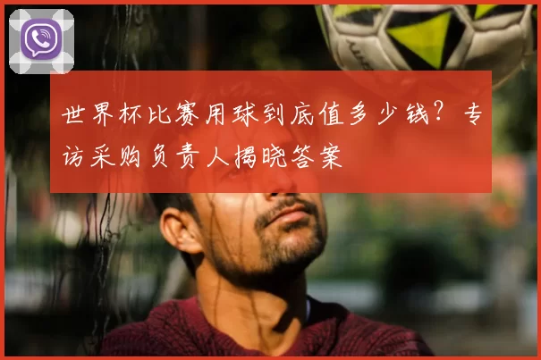 世界杯比赛用球到底值多少钱?专访采购负责人揭晓答案