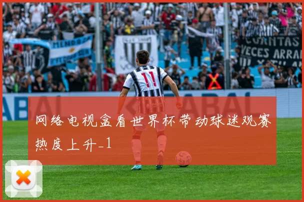 网络电视盒看世界杯带动球迷观赛热度上升_1