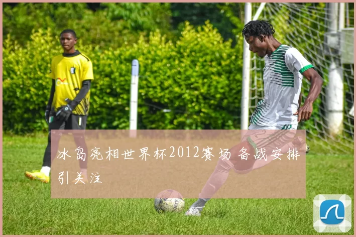 冰岛亮相世界杯2012赛场 备战安排引关注