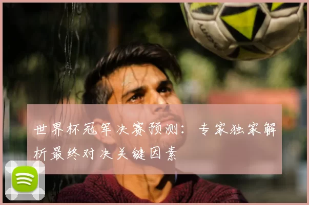 世界杯冠军决赛预测：专家独家解析最终对决关键因素