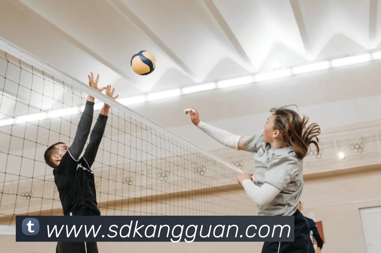 ag真人平台生态图